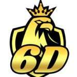 6d casino