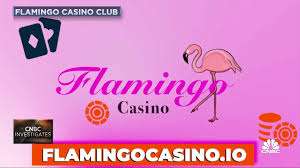 Flamingo Casino